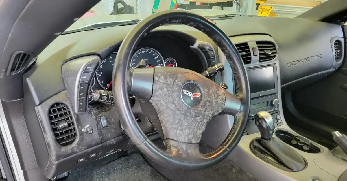 Corvette interior before black mold removal at Moonbow Auto Spa Auto Detailing Corbin KY